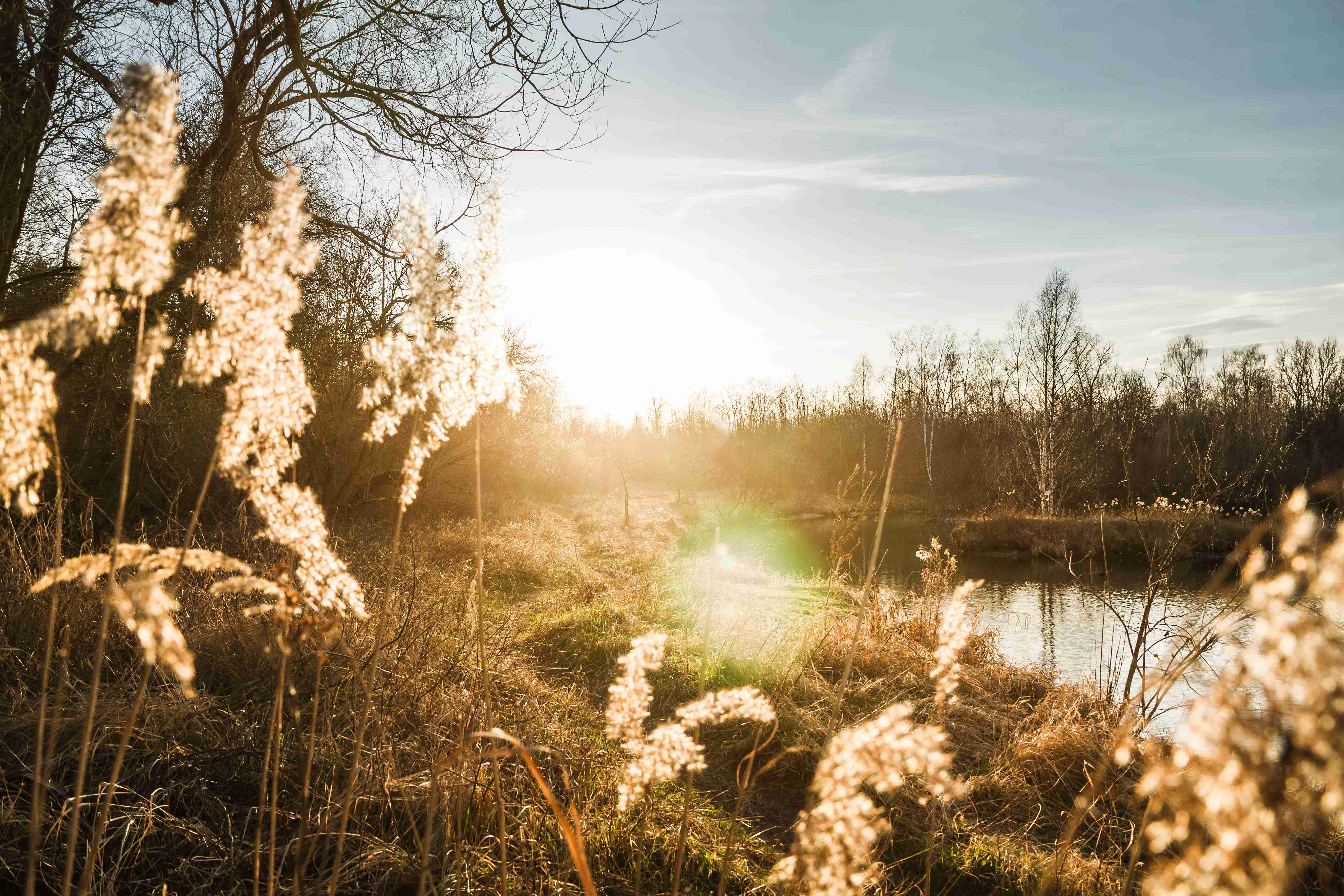 How Somatic Therapy Helps Heal Trauma Stored in the Body