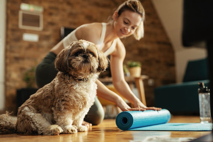 Puppy Yoga: Yoga with Fuzzy Fluff Balls